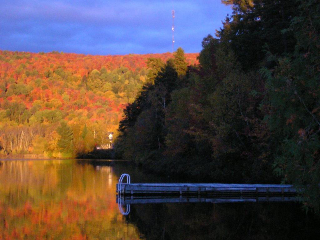 Motel Ours Bleu Lac-Saguay Kültér fotó